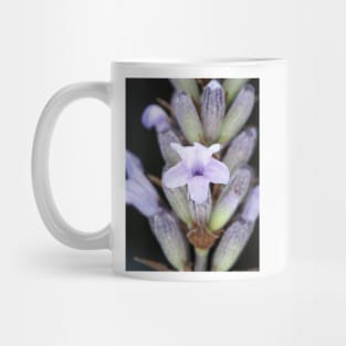 Macro shot of lavender flower Mug